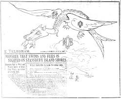 Image result for BARNET and WHETSTONE CHANGQUAN FLYING DRAGON