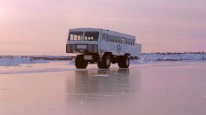 Image result for tundra buggy