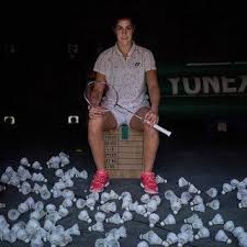 Image result for Borden Social Badminton Club