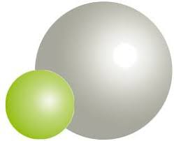 Attēlu rezultāti vaicājumam “Cinclidotus danubicus cells”