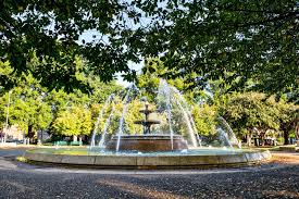 Image result for Florence Park Bowls Club