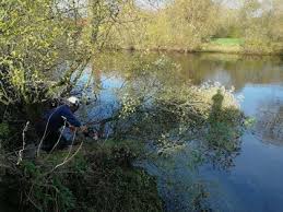 Image result for Bathampton Angling Association