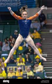 Image result for Buckley Girls Gymnastic Club