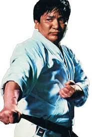 Image result for Ji Shin Do Karate