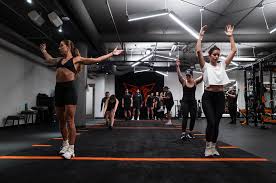 Image result for Monarchs Sports Acrobatics Club