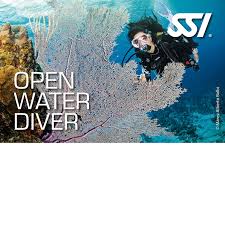 Image result for Looe Diving Club
