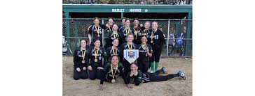 Image result for Hedingham Hawks Youth Football Club