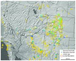 Attēlu rezultāti vaicājumam “Evernia divaricata”