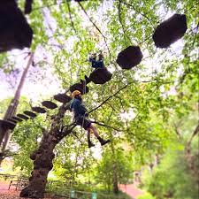 Image result for Go Ape! Leeds Castle