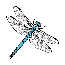 Attēlu rezultāti vaicājumam “Libellula depressa”