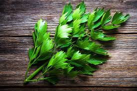 Image result for Liebstöckel