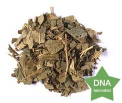 Attēlu rezultāti vaicājumam “Ribes nigrum leaf”