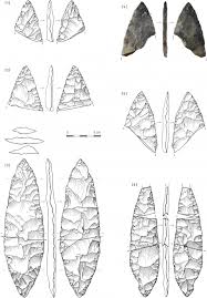 Image result for feuille-laurier-silex