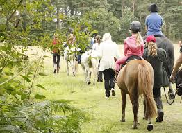 Image result for Bookham Riding School