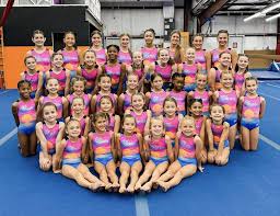 Image result for East Staffs Gymnastics Club