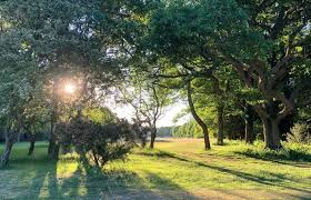 Image result for Chesham & Ley Hill Golf Club