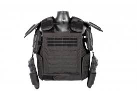 Image result for molle