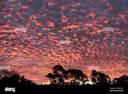 Attēlu rezultāti vaicājumam “altocumulus”