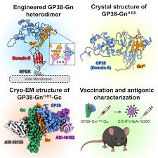 Image result for  g   c O ~