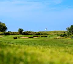 Image result for South Holderness Gc