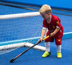 Image result for Sudbury Hockey Club