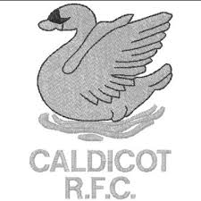 Image result for Caldicot Junior  & Mini Rugby Club