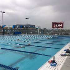 Image result for Derby Phoenix Swimming Club