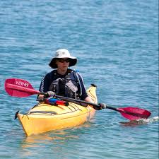 Image result for Kingfisher Canoe Club