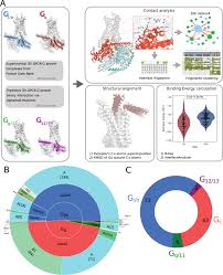 Image result for  g   c O ~