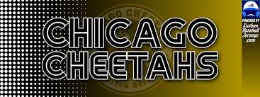 Image result for Cheetahs Softball Team