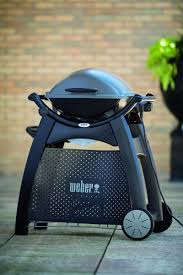 Image result for weber q200