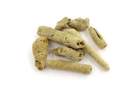 Attēlu rezultāti vaicājumam “Spongilla lacustris”