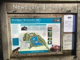 Image result for Newdigate Clays