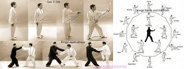 Image result for TRIANGLE CHANGQUAN FLYING DRAGON