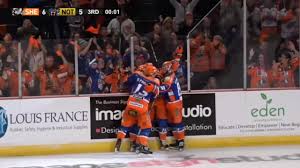 Image result for Sheffield Steelers