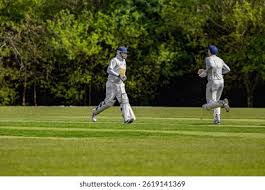 Image result for Roebuck Bowling Club