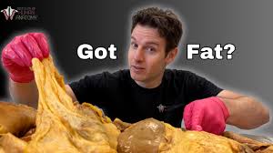 Image result for fat