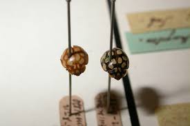 Attēlu rezultāti vaicājumam “Sospita vigintiguttata”