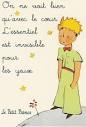 Clase de frances: LE PETIT PRINCE