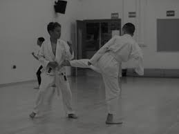 Image result for Konjaku Shin National School Of Karate, Lincolnshire