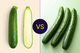 Image result for Zucchini