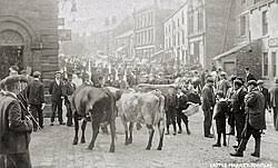 Image result for Penistone Cricket & Sports Club