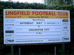 Image result for Lingfield Cricket Club