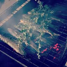 Image result for Chelon richardsonii