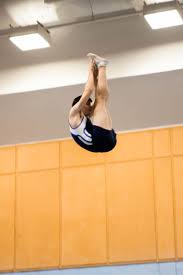 Image result for City Of Coventry Rhythmic Gym Club