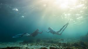 Image result for Bath Freediving Club
