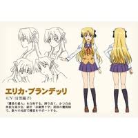 「アリアンナ・ハヤマ・アリアルディ カンピオーネ！」の画像検索結果