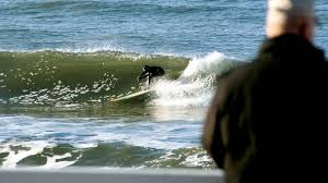 Image result for Uwe Surf Club