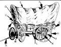 wagon