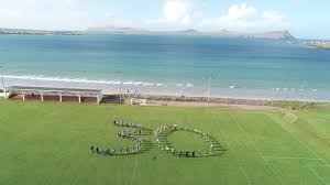 Image result for Ballyhegan Davitts Gaa Club